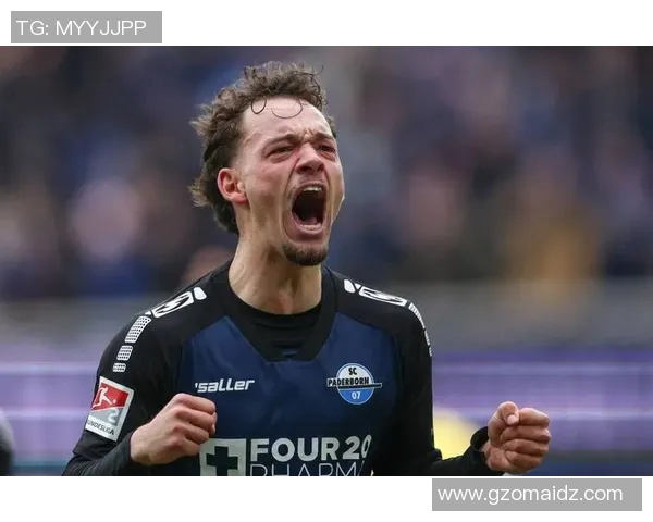 柏林赫塔遭遇主场失利,不敌汉堡同城德比告负 柏林赫塔遭遇主场失利,不敌汉堡同城德比告负