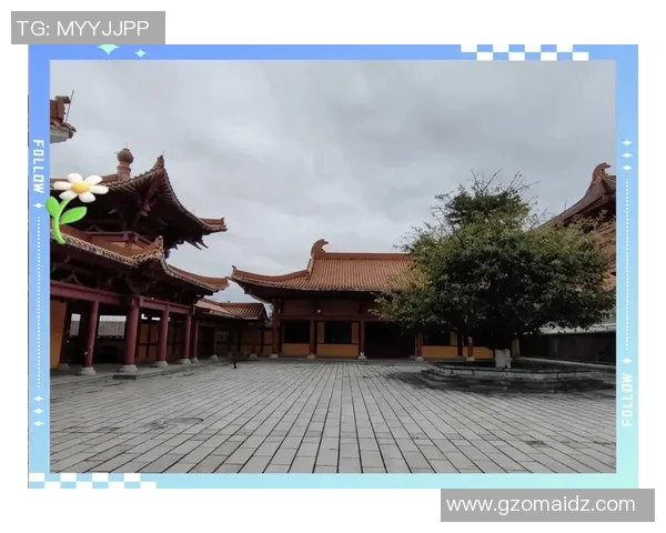 太极拳学习心得体会与身体心灵的和谐共鸣之道