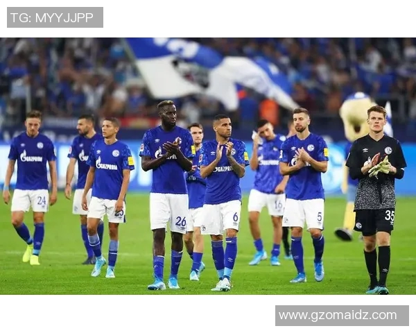 沙尔克04连败不停连续收官败局难挽回