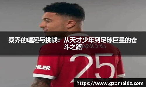 九游体育注册